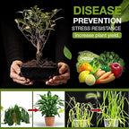 AI Soil Activated Treasure pack of 2 And Free plant booster pack 1