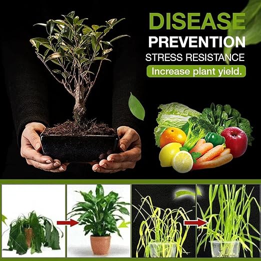AI Soil Activated Treasure pack of 2 And Free plant booster pack 1